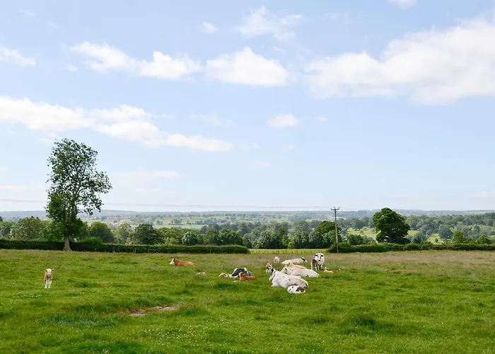 Buttercup Holiday home